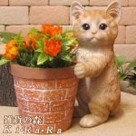 �ꥢ��� �ͤ�����ʪ ǭ�ȥߥ�ȭ���С� ��ȥ� ǭ�Υ��֥��� �ͥ�������� �ե����奢 �������Υ���ƥꥢ�˥����ǥ˥󥰤��Ǻ��