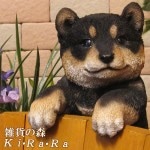 ꥢʸʪ֤餵ꡡơ̤Υեɥå֥ǥ˥󥰡衡ΥƥꥢˤΥʥȤȤƤ