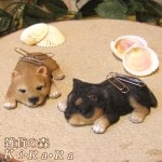 �ꥢ��ʸ�����ʪ���ޥ��ͥåȥɥå����Ƹ������糧�åȡ����̤Υե��������ɥå����֥����������ǥ˥󥰡����������衡���������Υ���ƥꥢ�ˡ��ǥ�������Υ��֥����Ȥ��ơ�