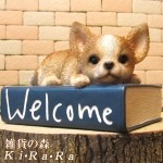 ������ʪ�������Ҥ��̡������륫��֥å��������ߡ����̡����̡��ɥå������֥������ե����奢�������ǥ󡡥٥��������ȡ������ǥ˥󥰡�������