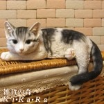 �ꥢ��ʤͤ�����ʪ�������٤ꥭ��åȡ��ۥ磻�ȡ����졼���쥸�����ͥ��Υե��������������Υ���ƥꥢ�˥����ǥ˥󥰤��Ǻ��