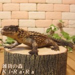 リアルなトカゲの置物 Cタイプ アルマジロトカゲ ヨロイトカゲ 爬虫類 フィギュア ガーデニング オーナメント インテリア 玄関先