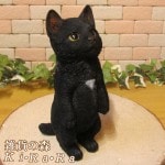 �ꥢ��ʥͥ�����ʪ�����ꤤ����åȡ������֥�å��������ͤ��Υե����奢����ǭ���֥������������Υ���ƥꥢ�ˤ����Υ����ʥ��ȤȤ��Ƥ������