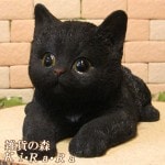 ǭ����ʪ�����Ĥ����٥ӡ�����åȡ��֥�å��������ͤ����֥������쥸�������ͥ��ե����奢������ƥꥢ�������ǥ˥��Ǻ�