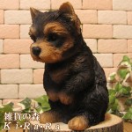 �ꥢ��ʸ�����ʪ������Ƥʤ����ɥå����衼�����㡼�ƥꥢ�������̤Υ��֥��������̤Υե��������������Υ���ƥꥢ�ˤ����Υ����ʥ��ȤȤ��Ƥ����