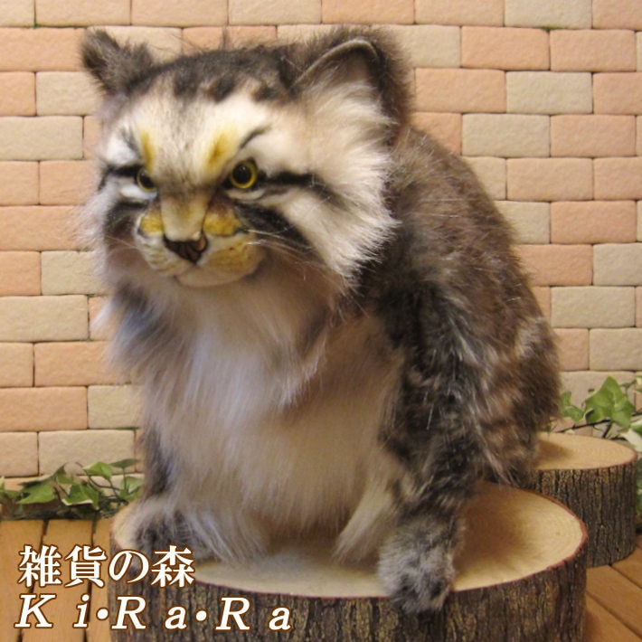 猫の置物 大きくてリアルな マヌルネコ ぬいぐるみ キャット 猫の置物