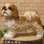 ʪ顼ꥢʸʪ Ҥ̡եǥ󡡥֥ΥƥꥢˤΥʥȤȤƤ