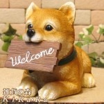 ������ʪ���Ƹ����Ҥ��̡������륫�ॵ����ܡ��ɡ��¡����Ф��̡����Х��̡������ߡ����̡����̡��ɥå������֥������ե����奢�������ǥ󡡥٥��������ȡ������ǥ˥󥰡�������