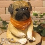 ������ʪ���ѥ����Ҥ��̡��Х���ʡ��Ѥ��������ߡ����̡����̡��ɥå������֥������ե����奢�������ǥ󡡥٥��������ȡ������ǥ˥󥰡�������