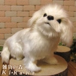 �����������ۥ磻�ȡ��ꥢ��ʸ��Τ̤�����ߡ��ɥå����֥��������̤���ʪ�����̤Υե����奢������ƥꥢ