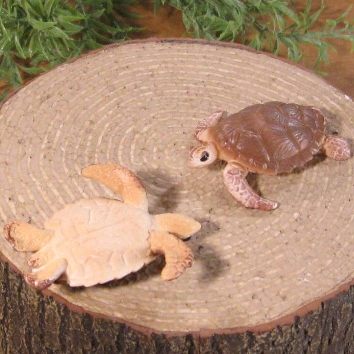 リアルな 亀の置物 ウミガメ 2点セット 海亀 うみがめ 爬虫類 リアルな 亀の置物 ウミガメ 2点セット 海亀 うみがめ 爬虫類