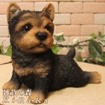 ������ʪ���衼�����㡼�ƥꥢ���Ҥ��̡��衼�������ٷ��桪�������ǥ󡡥����ʥ��ȡ��������٥��������ȡ����̥��֥������ե����奢�������ǥ˥󥰡�������