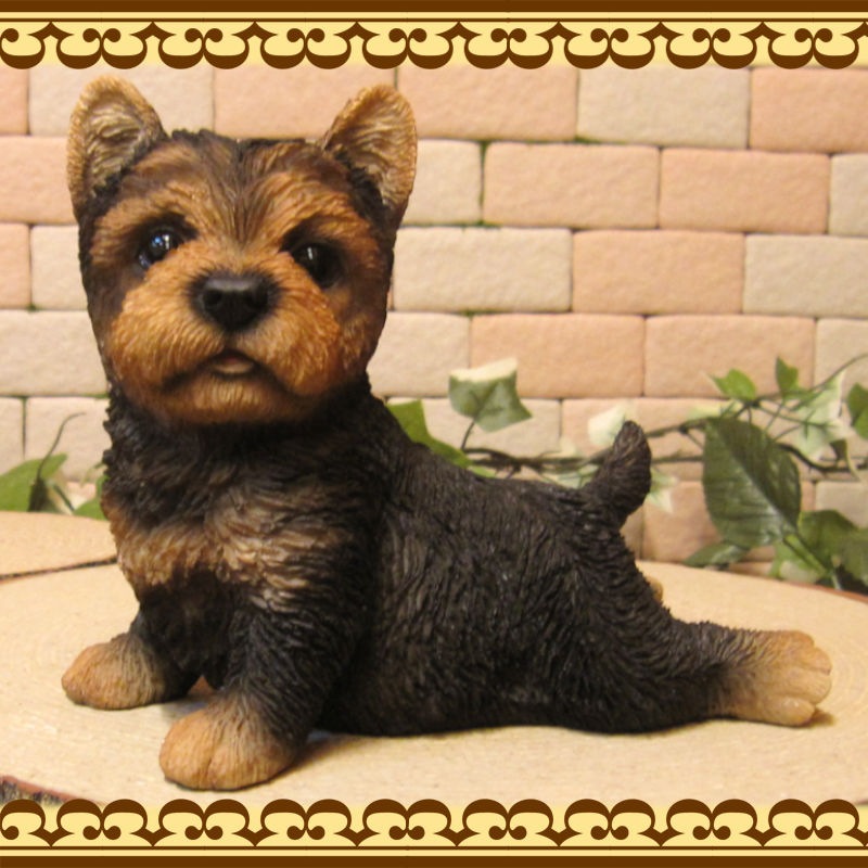 未使用　ヨークシャーテリア　置物　インテリア　　送料込み250830 置物 歩き出すヨーキー ヨークシャーテリア ゴールド 金色 縁起物 高さ