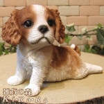 ʪХꥢҤ̡ٷ桪ǥ󡡥ʥȡ٥ȡ̥֥ե奢ǥ˥󥰡