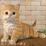 ǭ����ʪ������åȡ��ٷ��桪������ȥ顡�����ǥ󡡥����ʥ��ȡ�Ź�ޡ������󥿡����������٥��������ȡ��ͥ����֥������ͤ����ե����奢�������ǥ˥󥰡�������