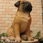 ʪѥ顼¥ס̡̡ưʪ֥ǥ󥪡ʥȡե奢աƥꥢ衡