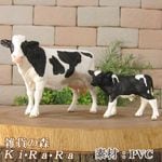 �ꥢ��ʡ����οƻҤ���ʪ�����������糧�åȡ�A�����ס��ɡ��롡�ե����奢�������ǥ˥󥰡��������ﵯʪ���ߥ˥��奢������ƥꥢ