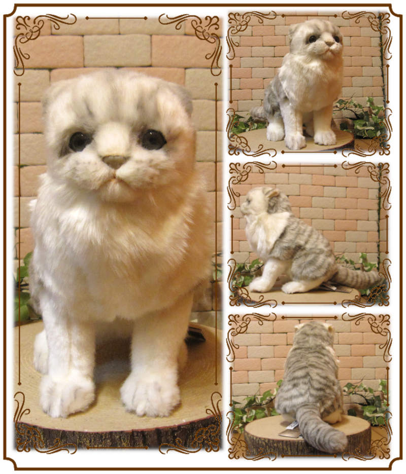 スコティッシュフォールド グレー キャット リアルな動物のぬいぐるみ
