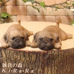 リアルな子犬の置物 マルチマグネットドッグ 2個セット パグ 子いぬのフィギア お部屋のインテリアに、デスク周りのオブジェとして