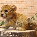 �ꥢ���ưʪ����ʪ���٥ӡ����������������˥ޥ륪�֥����������ǥ󡡥٥��������ȡ������ǥ˥󥰡��������Υ���ƥꥢ�ˤ����Υ����ʥ��ȤȤ��Ƥ����