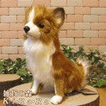 饤ȥ֥饦󡡥ɥå֥ꥢʸΤ̤ߡ̤ʪ̤Υե奢ƥꥢ