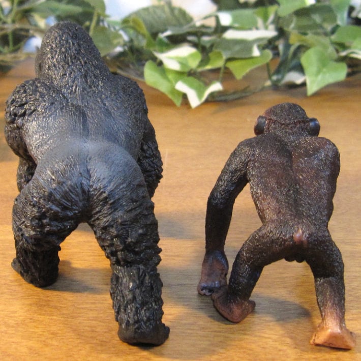 リアルな 動物の置物 ゴリラ チンパンジー 2点セット サル 猿 ドール