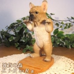 ꥢʸʪե֥ɥåޥۥɥå塡եȥե졼ࡡ֥åȡǰۥΥƥꥢˤΥʥȤȤƤҤ̤Υեǥ˥󥰡֥