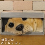 �ꥢ��� ���̤���ʪ���ץ졼�ȡ��ɥå�����֥�ɡ����ȥ�С� ���Υ��֥��� ���̥������ Ź������ �������Υ���ƥꥢ�˥����ǥ˥󥰤��Ǻ��