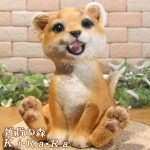 �İ���ưʪ����ʪ���������ȡ��٥ӡ��饤���󡡤��¤ꡡ���֥����������ǥ˥󥰡�Ź�����������֥���������ƥꥢ�������٥���������