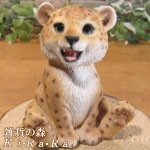 �İ���ưʪ����ʪ���������ȡ��٥ӡ��쥪�ѡ��ɡ����¤ꡡ�ҥ祦�����֥����������ǥ˥󥰡�Ź�����������֥���������ƥꥢ�������٥���������