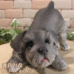 ʪʥꥢʤ̤ʪΤӤΤӡɥȥåѡ̤Υ֥Źޡ󥿡ǥ˥󥰡٥