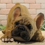 ʪե֥ɥåꥢʤ̤ʪΤӤΤӡɥȥåѡե֥롡̤Υ֥Źޡ󥿡ǥ˥󥰡٥