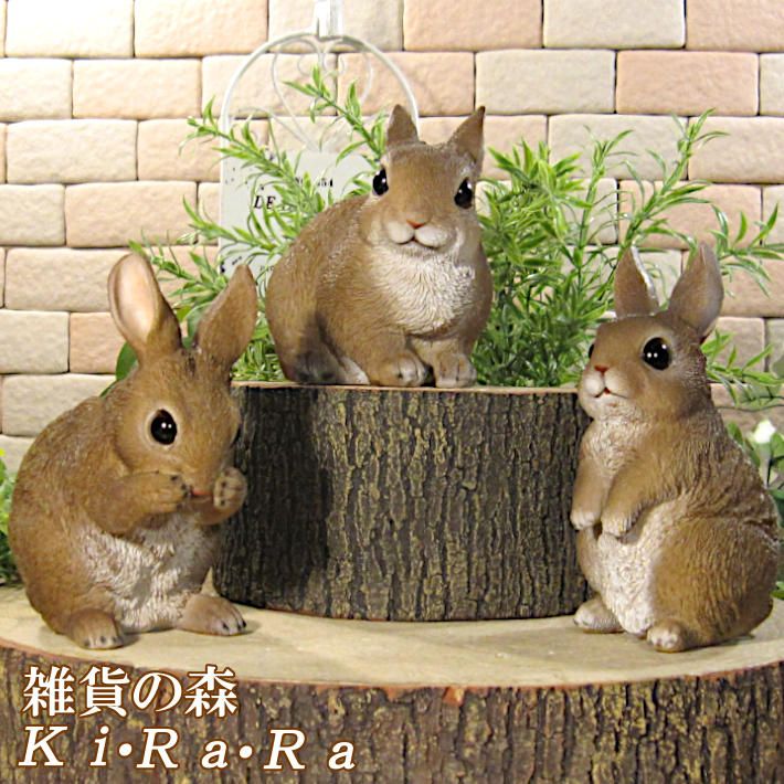 ꥢʤʪߥ˥ե󥺡ӥåȡΥåȡХˡӥåȡ֥ǥ˥󥰡Ź󥿡ƥꥢ