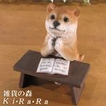 ʪ ꥢ롡Ƹٶ桪ꤤ̡ưʪ֥ǥ󡡥ʥȡŹޡ󥿡֥ƥꥢ衡