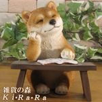 ʪ ꥢ롡Ƹٶ桪ͤꡡ̡ưʪ֥ǥ󡡥ʥȡŹޡ󥿡֥ƥꥢ衡