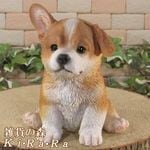 ʪƥ륷塦¤ꡡꥢʸʪҤ̡ǥưʪ֥ǥ󡡥ʥȡŹޡ󥿡֥ƥꥢ衡