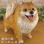 ʪݥ˥󡡥ɥס顼ꥢ롡ɥå̡̡ưʪ֥ǥ󥪡ʥȡŹޡ󥿡աƥꥢ