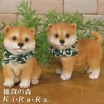 ꥢʸʪƸե󥺡ƦСߥˡ糧åȡǥ֥ʥȡ٥ȡܸФ̡̥֥ե奢