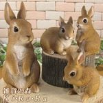 ꥢʤʪӥåȡեߥ꡼ΥåȡХˡӥåȡ֥ǥ˥󥰡Ź󥿡ƥꥢ