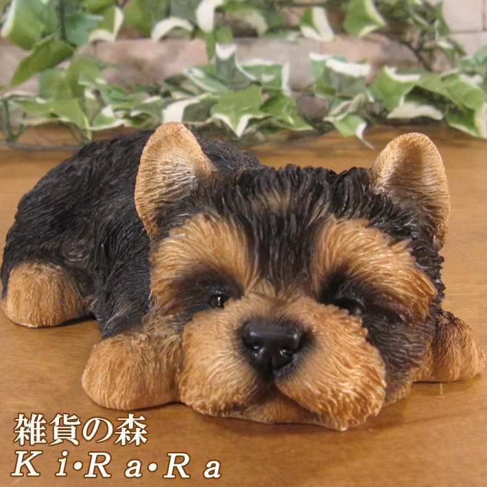 �衼�����㡼�ƥꥢ���ꥢ��ʸ�����ʪ�������ȥ��ȡ��ͤ�ͤࡡ���̡����֥����������ǥ˥󥰡�Ź�������������󥿡�������ƥꥢ