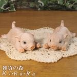 Ҥ֤ꥢڤʪߥ˥ĥ󡡥֡Υåȡ֥֥ǥ˥󥰡Ź󥿡ƥꥢǥ󡡥٥ȡ