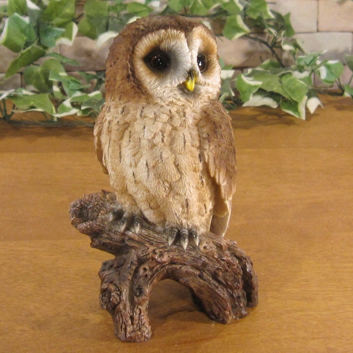 リアルな鳥の置物 ふくろう 2種セット オウル フクロウ ガーデン 店舗