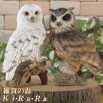 ꥢĻʪդ⡼륵糧åȡ롡եǥŹ󥿡֥ʥȡ٥