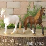 �ꥢ��ʡ��Ϥ���ʪ�����ޡ�Ⅽ�����ס��������åȡ��ɡ��롡�ե����奢�������ǥ˥󥰡����ޡ��ﵯʪ���ߥ˥��奢������ƥꥢ