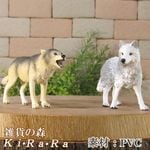 �ꥢ��ʡ�ϵ����ʪ���������ߡ��������åȡ��ɡ��롡�ե����奢�������ǥ˥󥰡��������ߡ�����ա��ߥ˥��奢������ƥꥢ