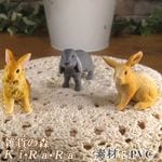 �ꥢ��ʡ�����������ʪ����ӥåȡ��������åȡ������������֥������ɡ��롡�ե����奢�������ǥ˥󥰡��ߥ˥��奢������ƥꥢ