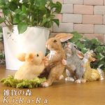 �ꥢ���ưʪ����ʪ��������֤���������������ӥåȡ����������֤����ڡ��Ϥ�ͤ��ߡ��ϥ�ͥ��ߡ��ꥹ�����֥����������ǥ˥󥰡�Ź�������������󥿡�������ƥꥢ