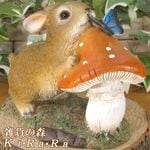 �ꥢ���ưʪ����ʪ���������ȥޥå���롼�ࡡ��ӥåȡ���������ĳ�������֥����������ǥ˥󥰡�Ź�������������󥿡�������ƥꥢ