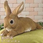 �ꥢ��ʤ���������ʪ�������٤��ӥåȡ������������֥����������ǥ˥󥰡�Ź�������������󥿡�������ƥꥢ