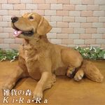 ������ǥ��ȥ�С��������������٤ꡡ�ӥå����������礭���ƥꥢ��ʥ��̤���ʪ���ɥå����֥��������������ǥ˥󥰡��������Υ���ƥꥢ�ˤ����Υ����ʥ��ȤȤ��Ƥ����